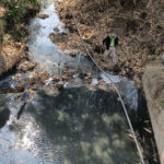 環境大臣　マンゴー工場に公共水源の汚染を止めるよう命令