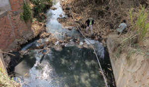 環境大臣　マンゴー工場に公共水源の汚染を止めるよう命令