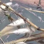 首相、水質汚染防止のための新たな指示を発令