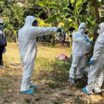 クラチェ州　３歳児がH5N1型鳥インフルエンザに感染、その後死亡