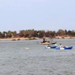 メコン川の絶滅危惧種イルカの保護イベントで2万ドル以上の寄付確保