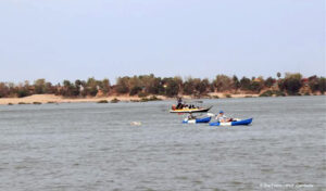 メコン川の絶滅危惧種イルカの保護イベントで2万ドル以上の寄付確保