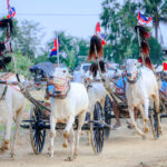 コンポンスプ―州　牛車レースを文化遺産として保存