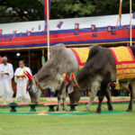 コンポンチュナン、5月15日に「耕起式」を開催