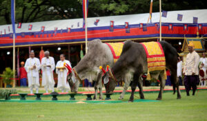 コンポンチュナン、5月15日に「耕起式」を開催