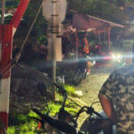 プノンペン　飲酒運転の車が列車に衝突　重傷を負う