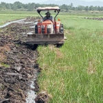 プレア・シハヌーク州  2025年の雨期の稲作に向けた早期準備を主導