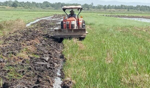 プレア・シハヌーク州  2025年の雨期の稲作に向けた早期準備を主導