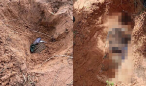 埋められた遺体2体が発見 中国人を同胞遺体2体の遺棄で逮捕