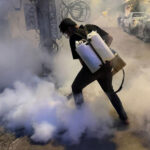 プノンペンでデング熱の媒介の蚊対策活動が続く