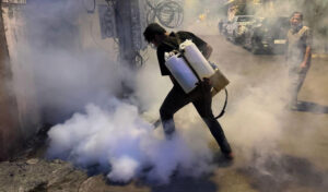 プノンペンでデング熱の媒介の蚊対策活動が続く