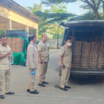 ベトナムからの違法（密輸）鶏卵12万3000個を摘発