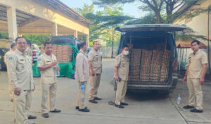 ベトナムからの違法(密輸)鶏卵12万3000個を摘発