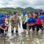 農林水産省　マングローブの植林活動キャンペーンを開始