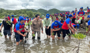 農林水産省 マングローブの植林活動キャンペーンを開始