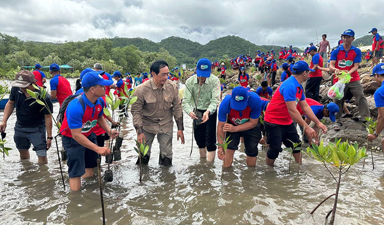 農林水産省　マングローブの植林活動キャンペーンを開始