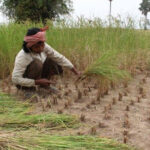 カンボジア、気候変動でGDPの大幅減少の危機に