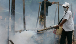 今年上半期にデング熱の症例が8,000件以上 昨年比20%増に