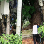 カンボジア当局がタイのインターネットケーブルを切断