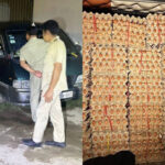 ベトナムからの違法鶏卵の密輸組織を摘発