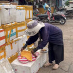 プノンペンの市場　捨てられた赤ちゃんの遺体を発見