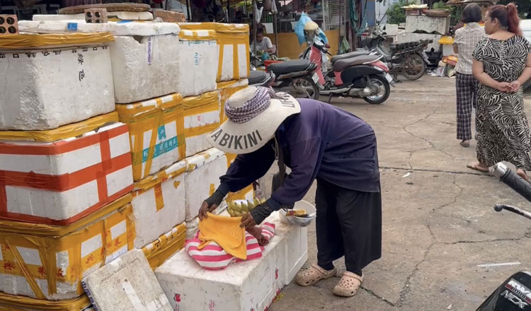 プノンペンの市場　捨てられた赤ちゃんの遺体を発見