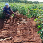 CMAC、1970年代の内戦現場の武器庫を破壊