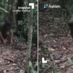 カンボジア軍が地雷を埋設したというタイの動画は演出と非難