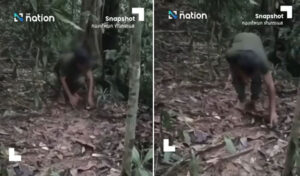 カンボジア軍が地雷を埋設したというタイの動画は演出と非難