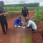 トボンクムン州のトウモロコシ畑で遺体発見 　中国人同胞殺害として容疑者を追跡中