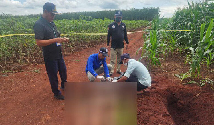 トボンクムン州のトウモロコシ畑で遺体発見 　中国人同胞殺害として容疑者を追跡中