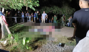 カンポット州スレイ・プレイ村で一家惨劇、闘犬の争いで銃撃事件発生