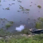 池に浮かぶ中国人の遺体を発見　警察は操作を開始