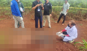 村人が畑に髪の毛が出ていることに気づき、中国人？の遺体を発見