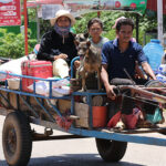 国境沿いの避難民増加で子どもの福祉に懸念