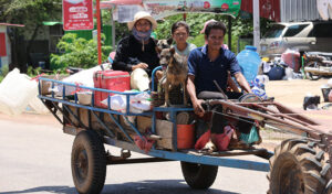 国境沿いの避難民増加で子どもの福祉に懸念