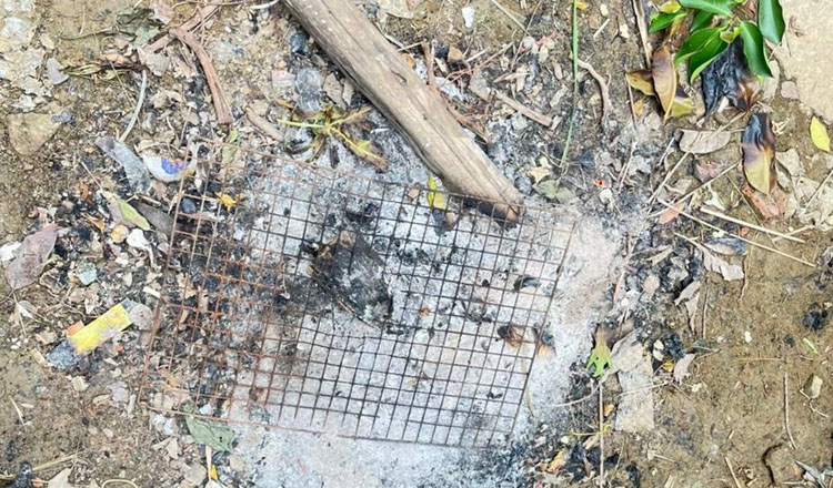 トカゲの卵を食べた男性が死亡