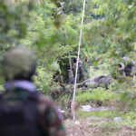 タイ軍、カンボジア出稼ぎ労働者への性的暴行事件を否定、領土問題では区別を