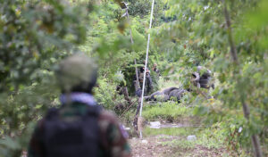 タイ軍、カンボジア出稼ぎ労働者への性的暴行事件を否定、領土問題では区別を