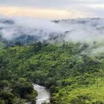 カンボジア、全国的に寒波が続くと予想