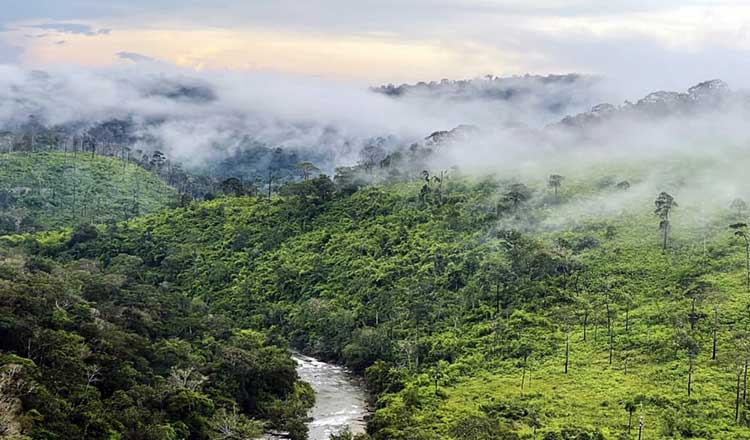 カンボジア、全国的に寒波が続くと予想
