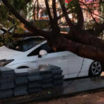 プノンペンで強風により車が押しつぶされる