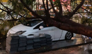 プノンペンで強風により車が押しつぶされる