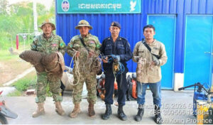 コ・コン州　野生生物保護官が保護区内で罠（密猟）117個を押収