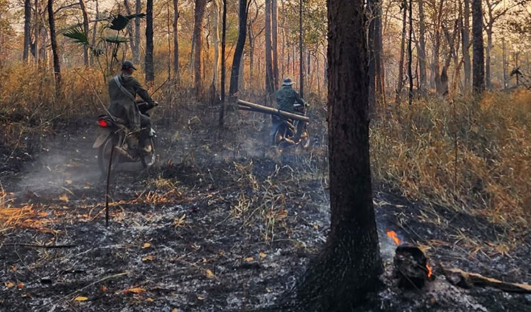 タイ国境付近で1週間に1,000以上のホットスポットを記録　大気汚染の懸念