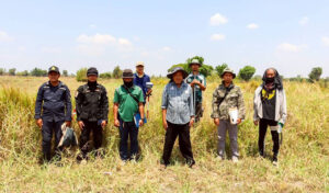 不法占拠地域とタイ軍の活動報道に対し、自制の声が上がっている