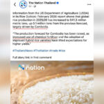 カンボジア、タイの報告を受けて米の生産量増加を明らかに