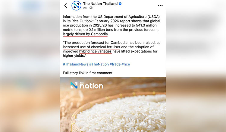 カンボジア、タイの報告を受けて米の生産量増加を明らかに