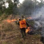 気温上昇を受け、政府は火災に対する警戒を呼びかける。