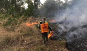 気温上昇を受け、政府は火災に対する警戒を呼びかける。